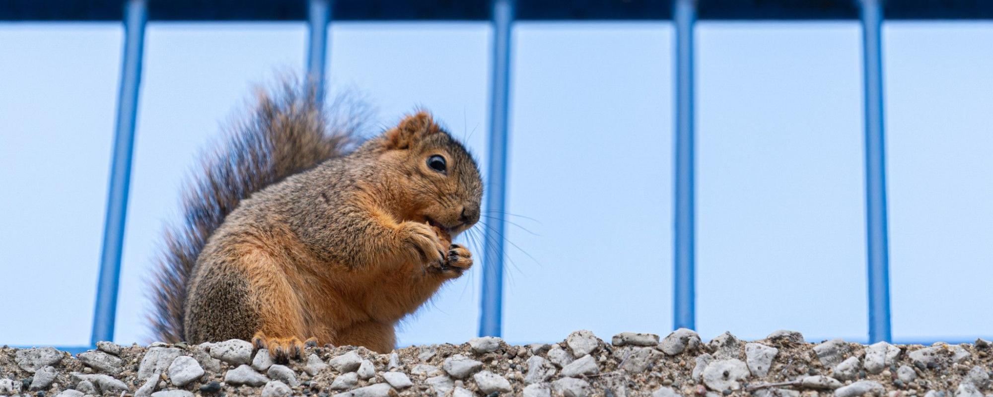 Catalog Year CLAS Academic Advising Center Grand Valley State